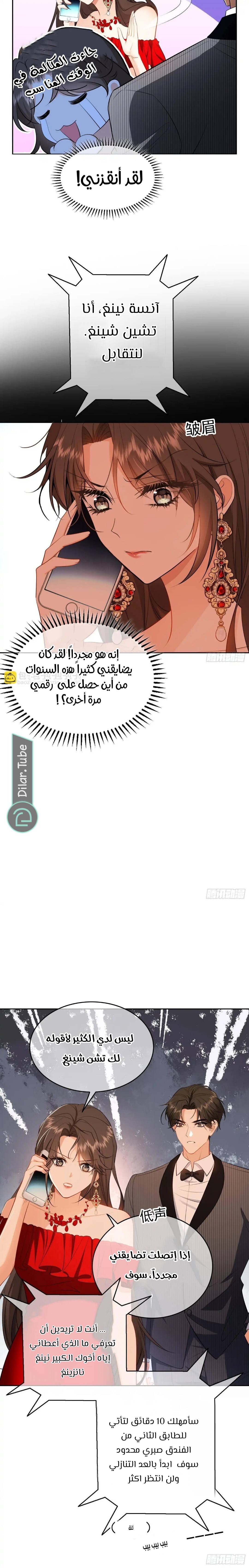 الصفحة 3