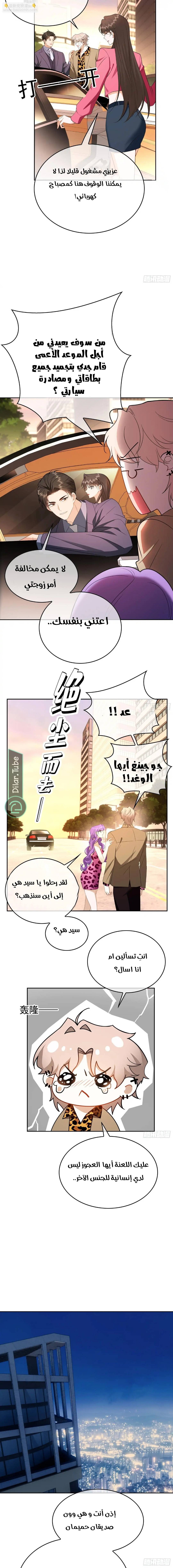 الصفحة 11