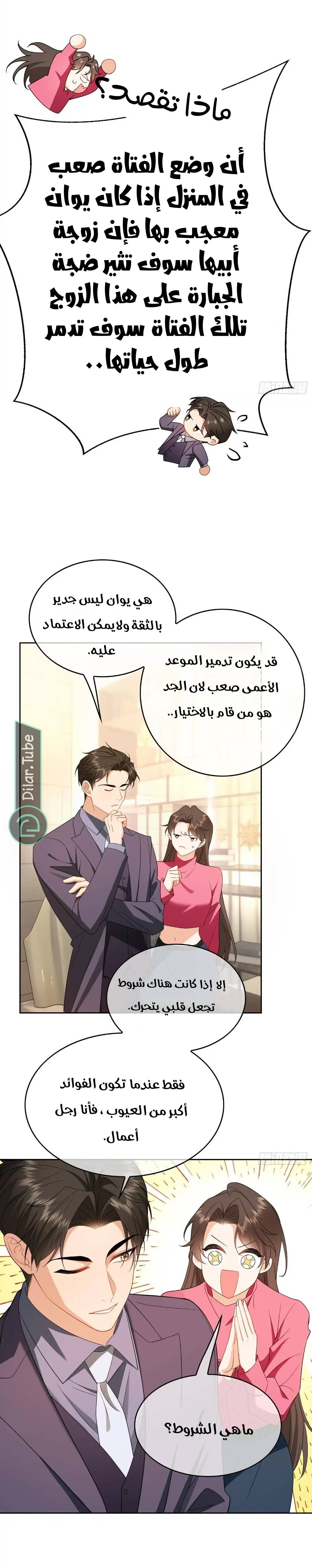 الصفحة 13