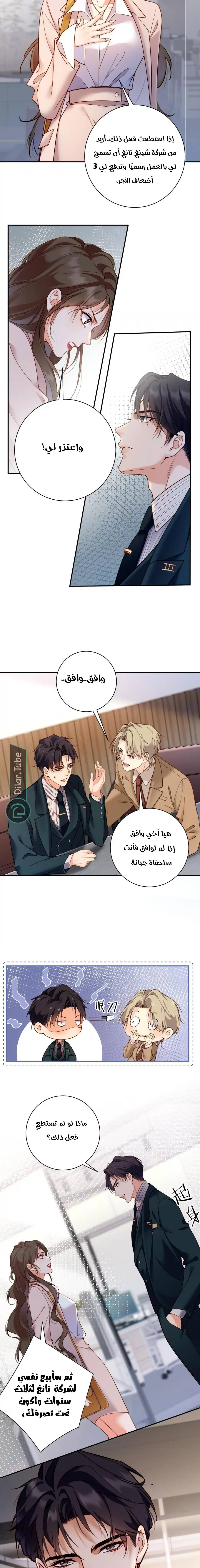 الصفحة 7