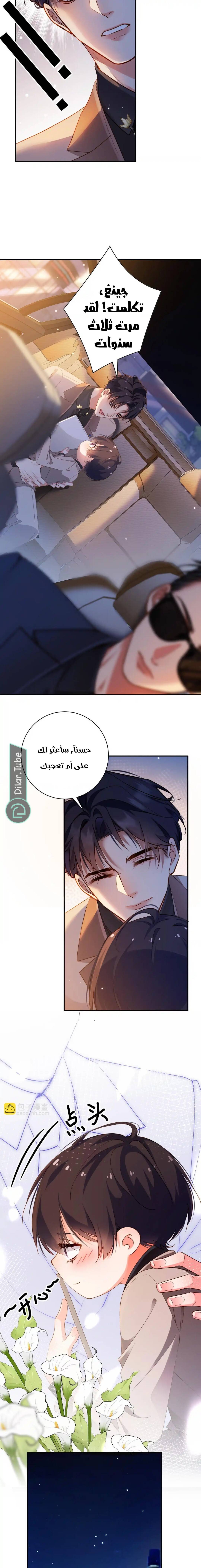 الصفحة 5