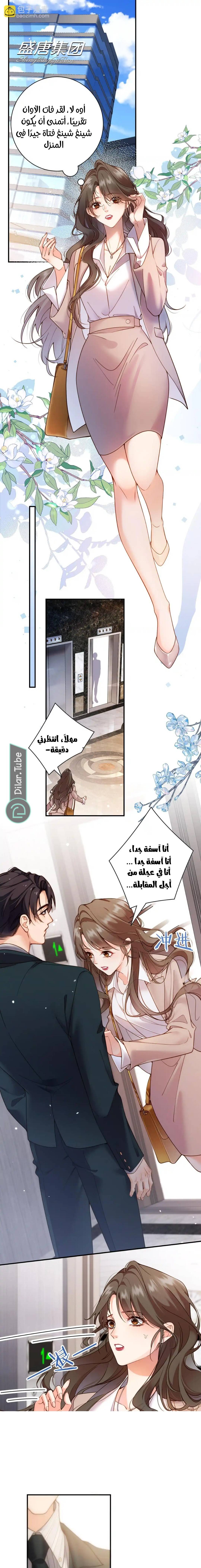 الصفحة 6