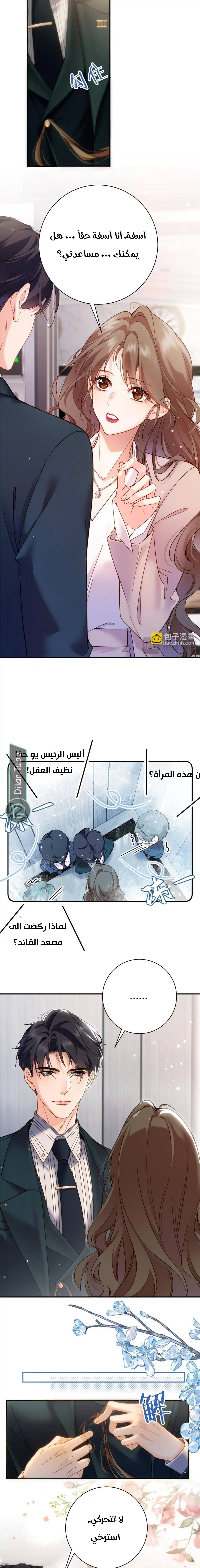 الصفحة 7