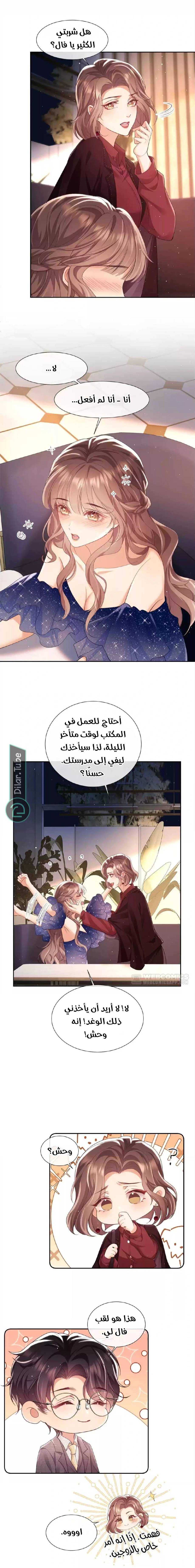 الصفحة 7