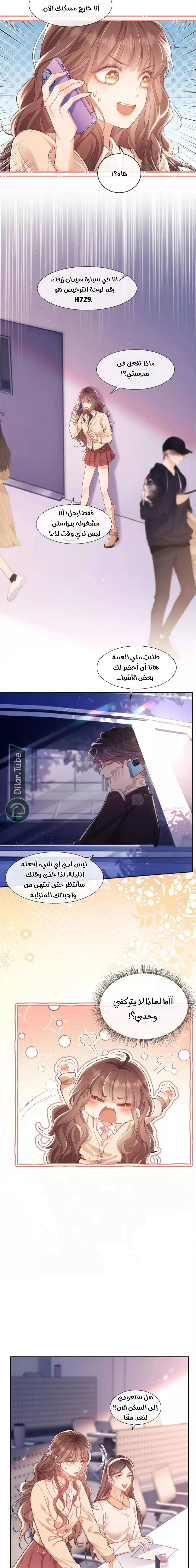 الصفحة 3