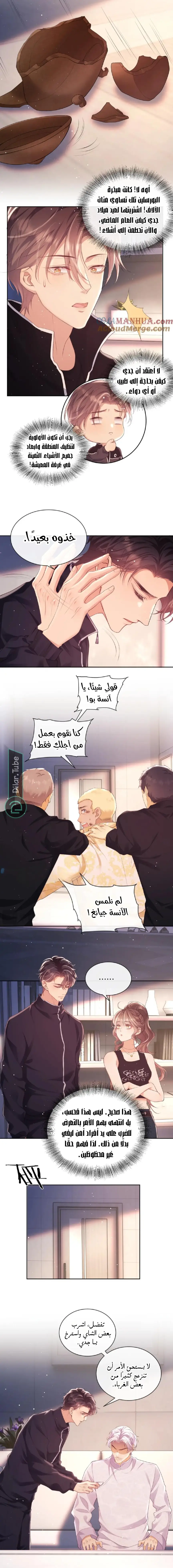 الصفحة 7
