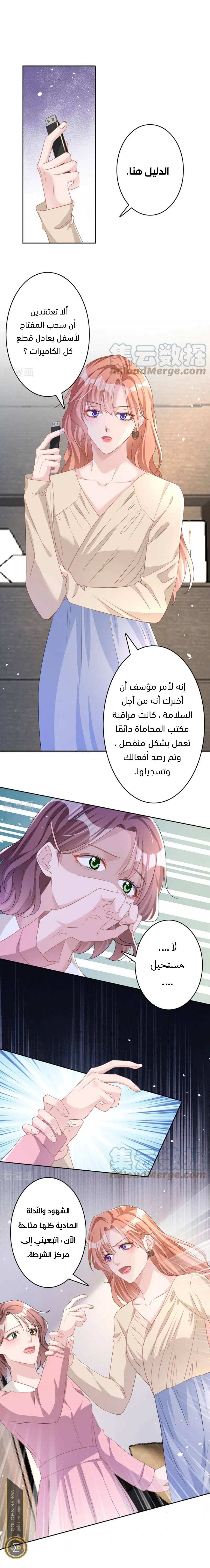 الصفحة 3