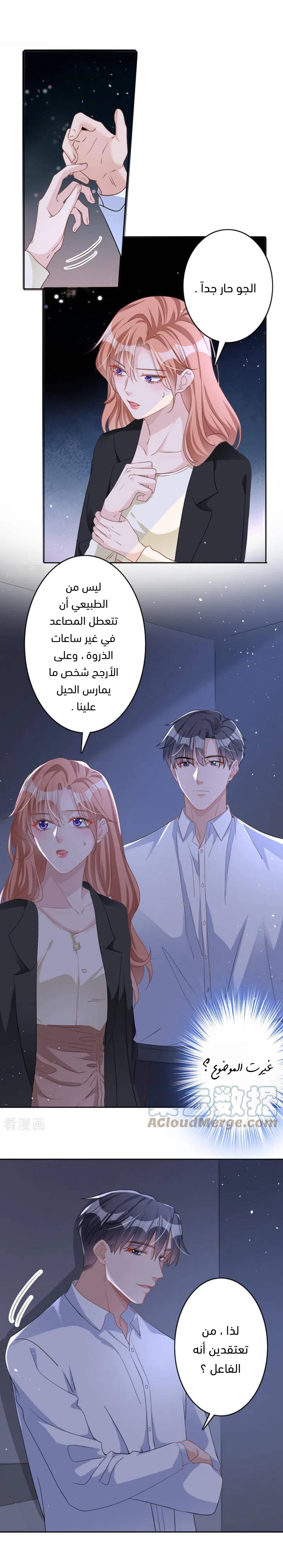 الصفحة 3