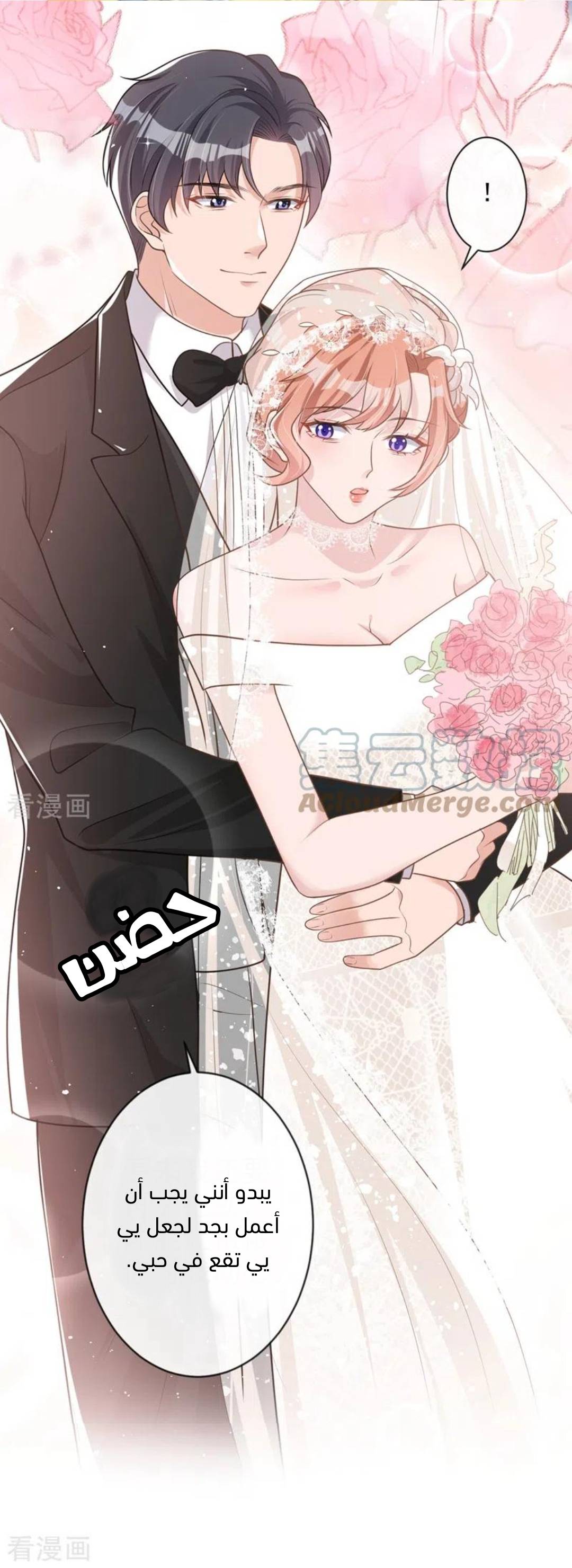 الصفحة 12