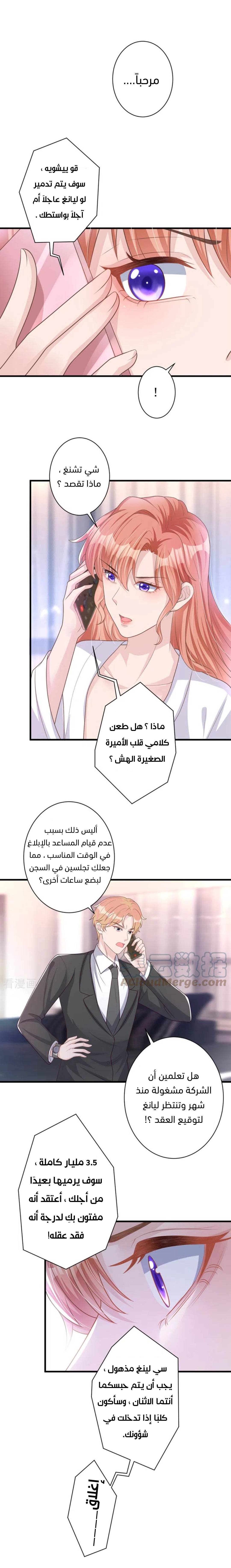 الصفحة 11