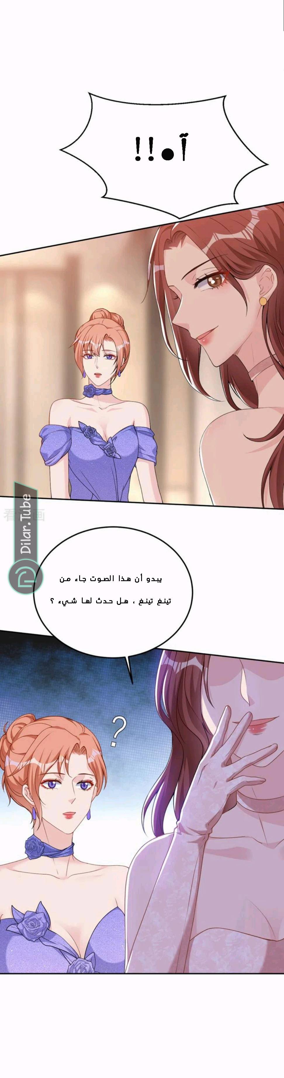 الصفحة 13