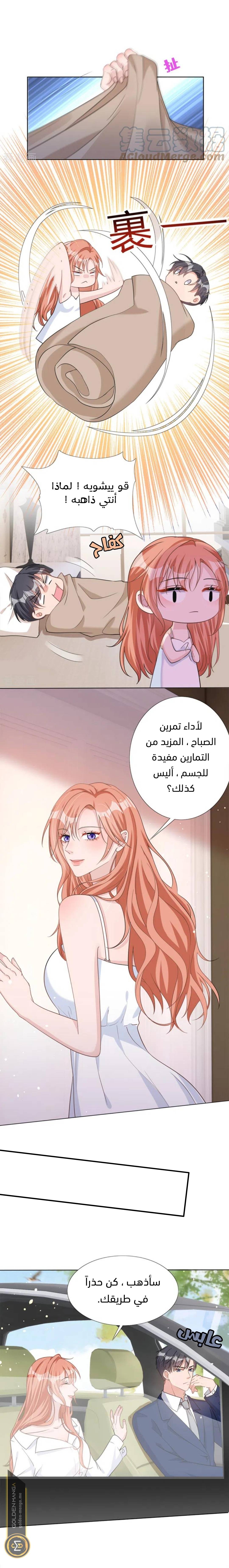 الصفحة 10