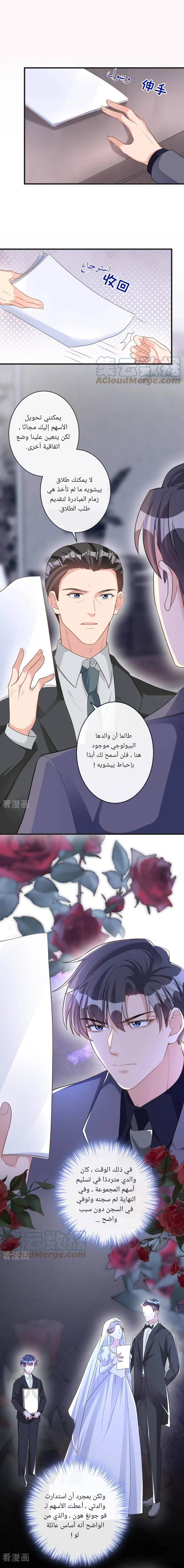 الصفحة 5