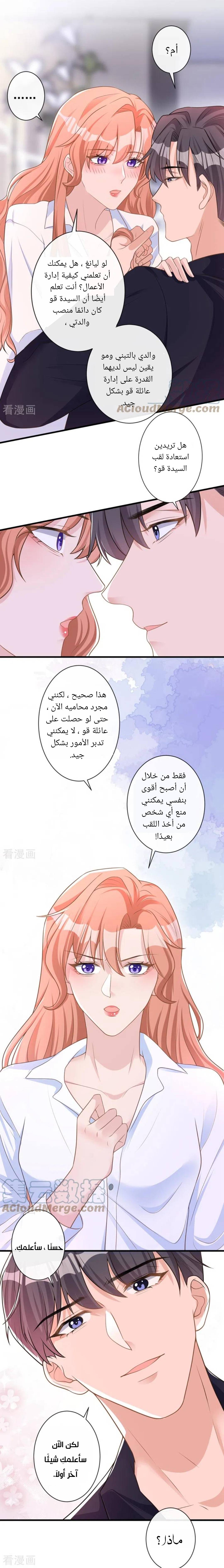 الصفحة 14