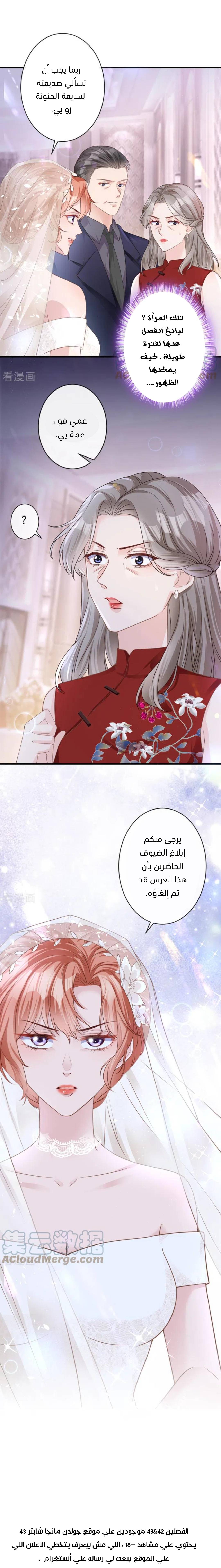 الصفحة 10