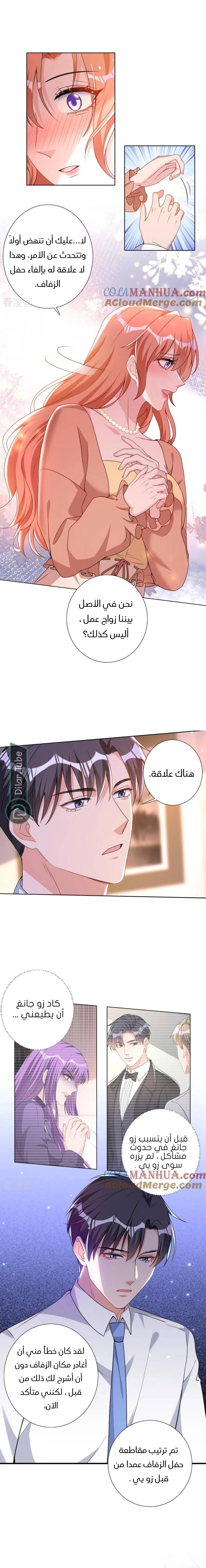 الصفحة 5