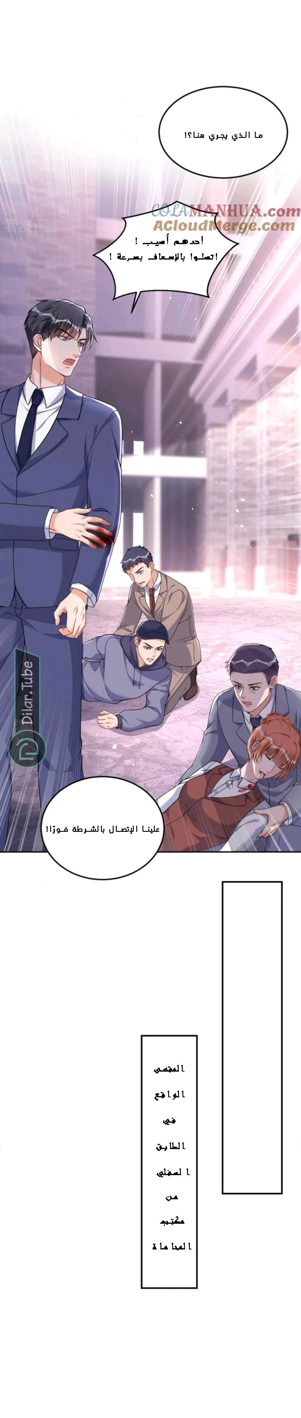 الصفحة 8