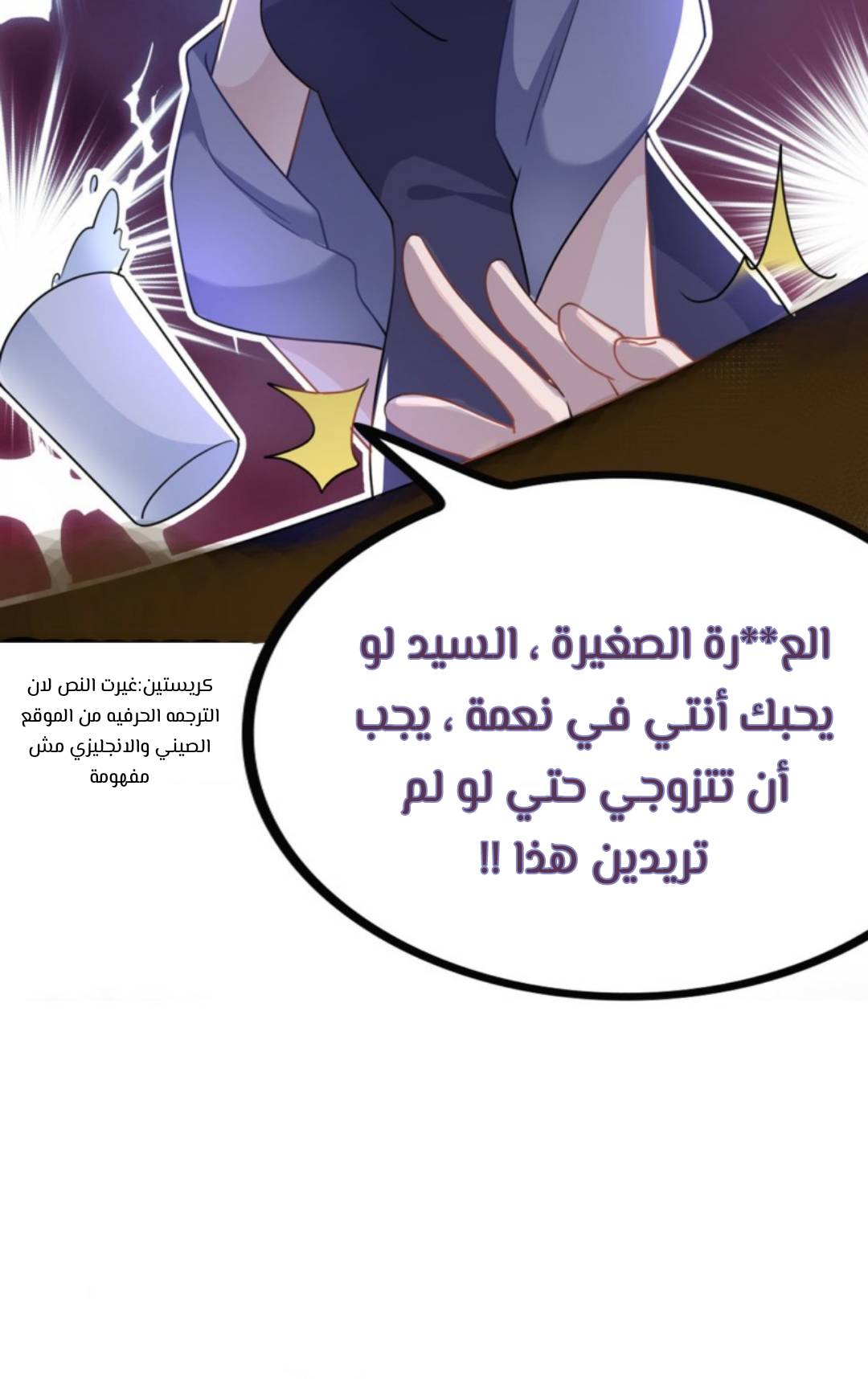 الصفحة 13