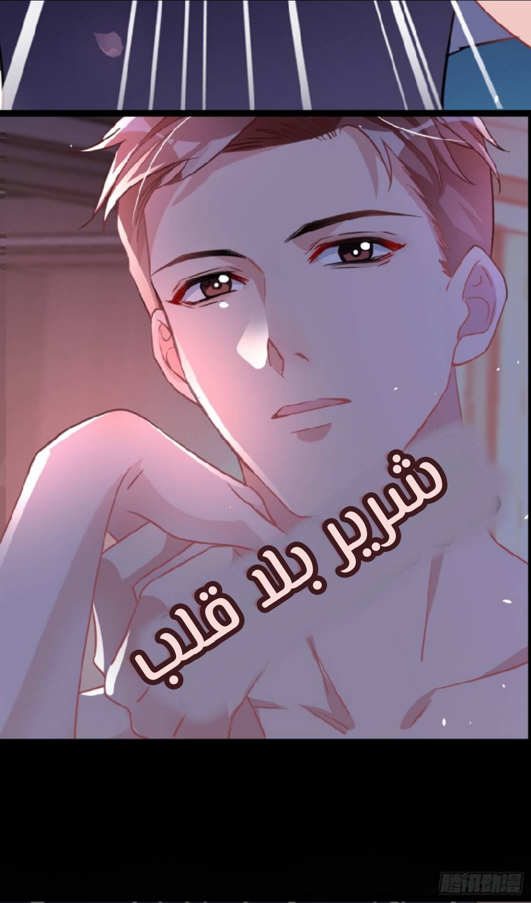 الصفحة 22