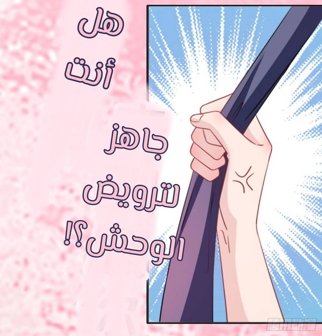 الصفحة 25