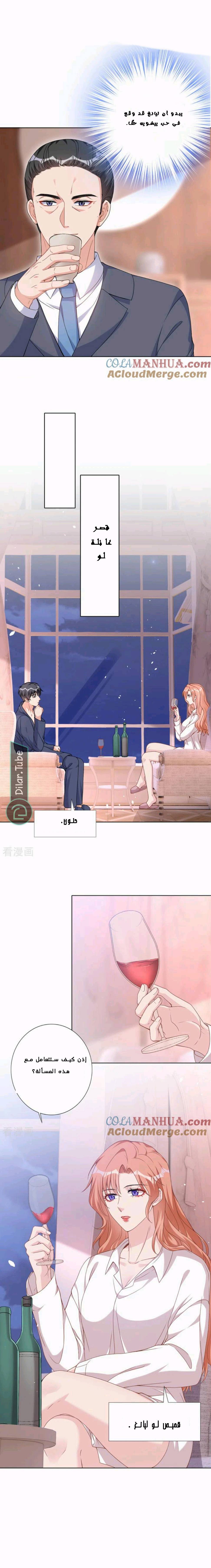 الصفحة 8