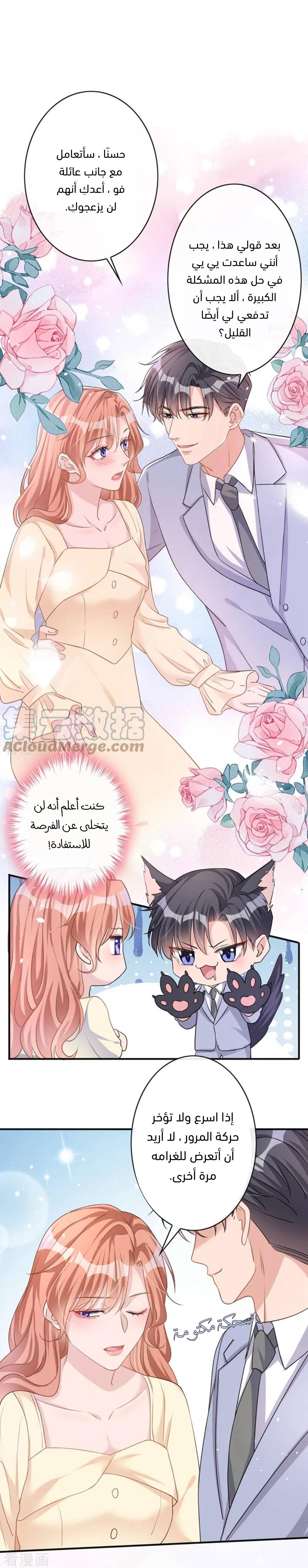 الصفحة 6