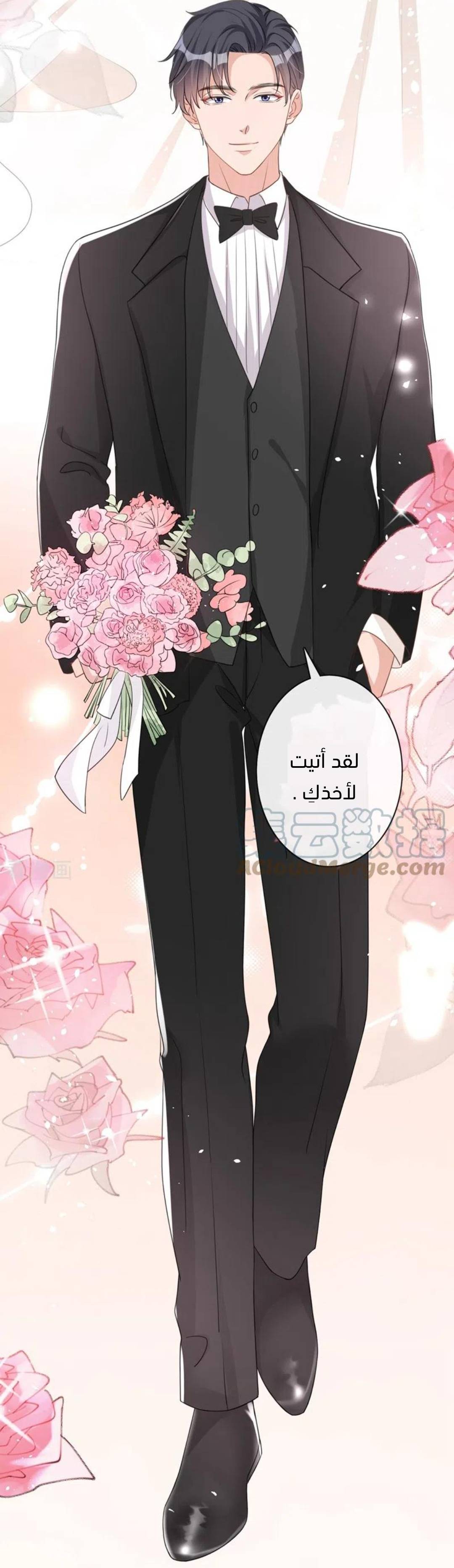 الصفحة 11