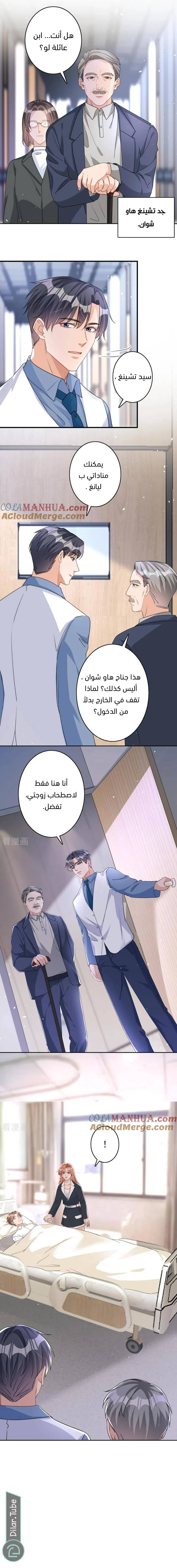 الصفحة 10