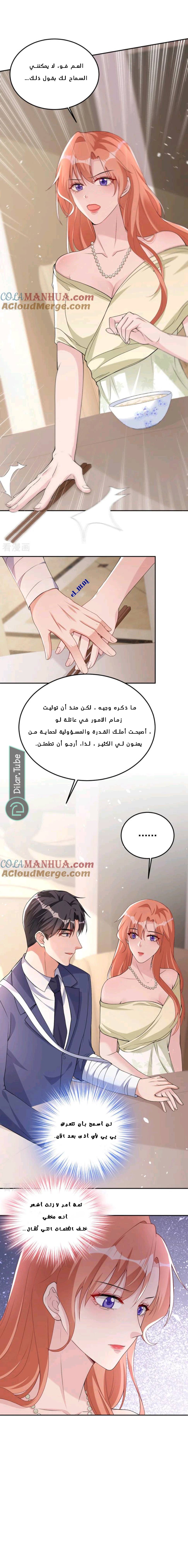 الصفحة 8