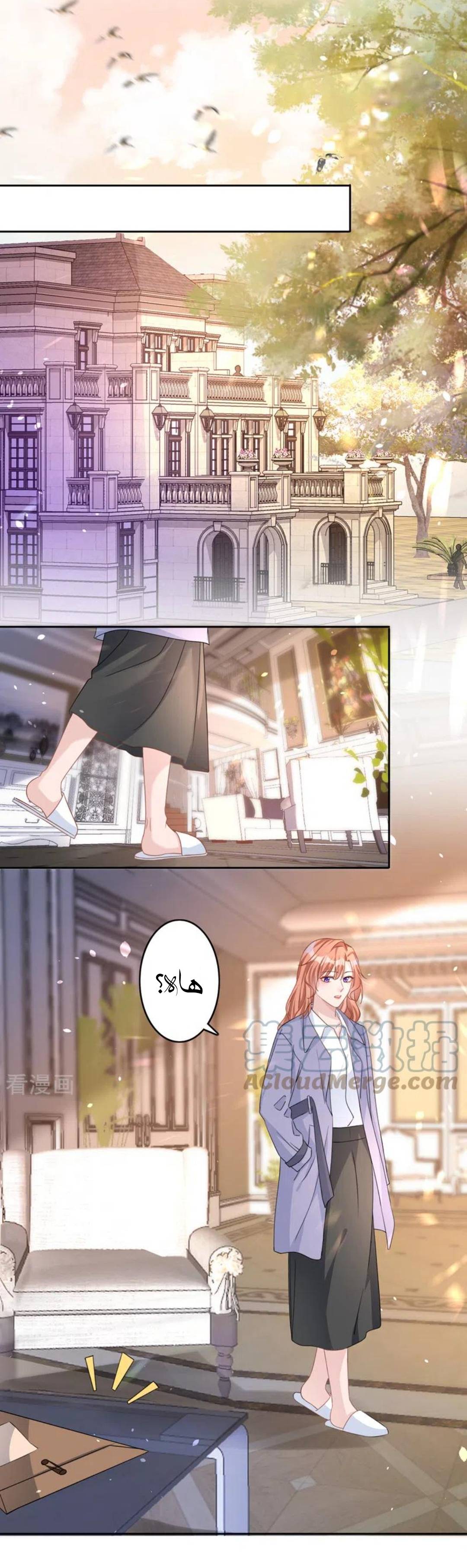 الصفحة 5