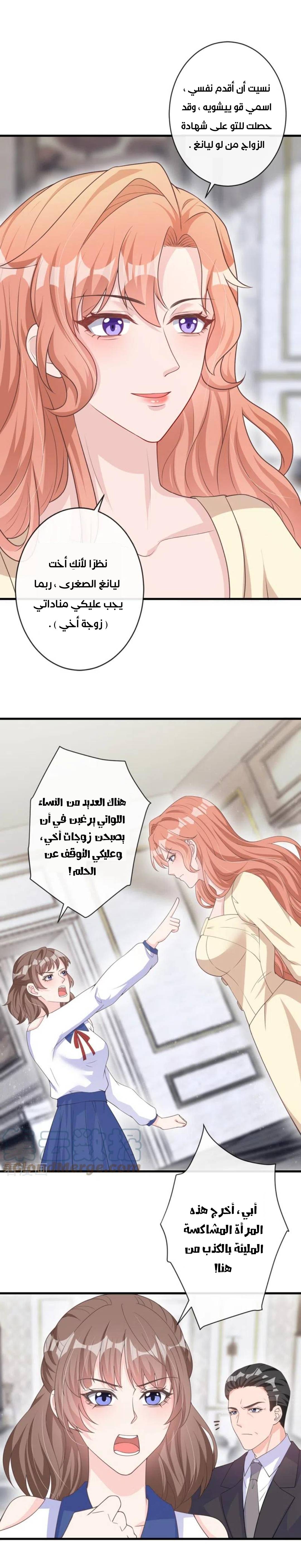 الصفحة 12