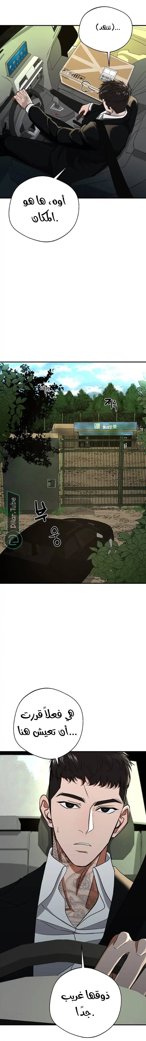 الصفحة 3
