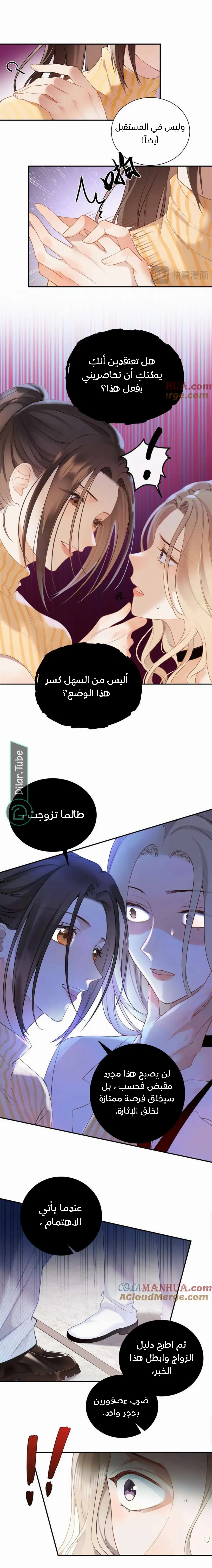 الصفحة 3