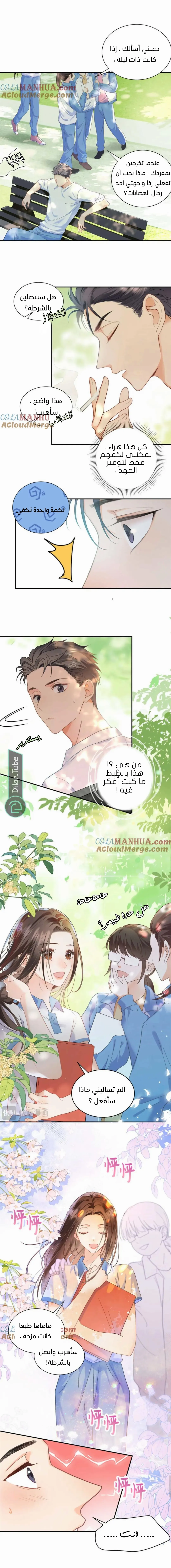 الصفحة 3