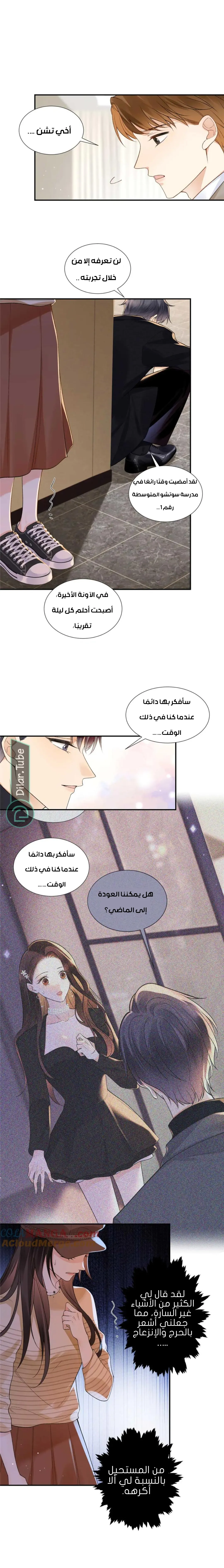 الصفحة 3