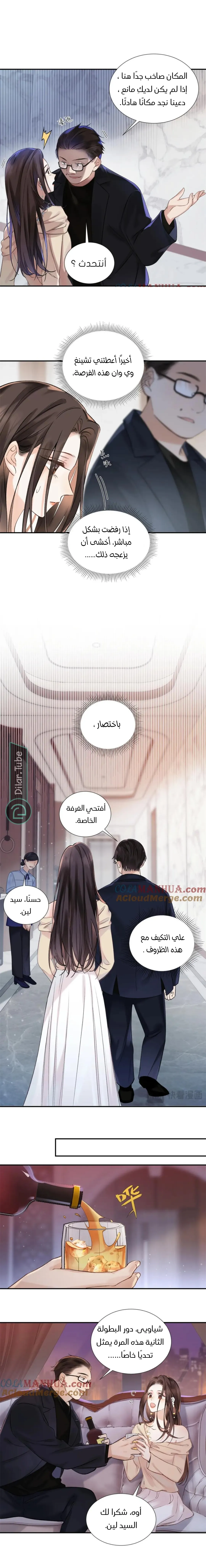 الصفحة 3
