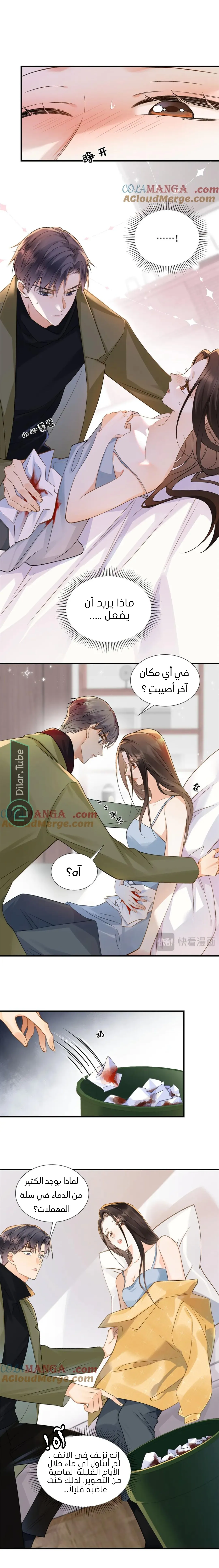 الصفحة 3