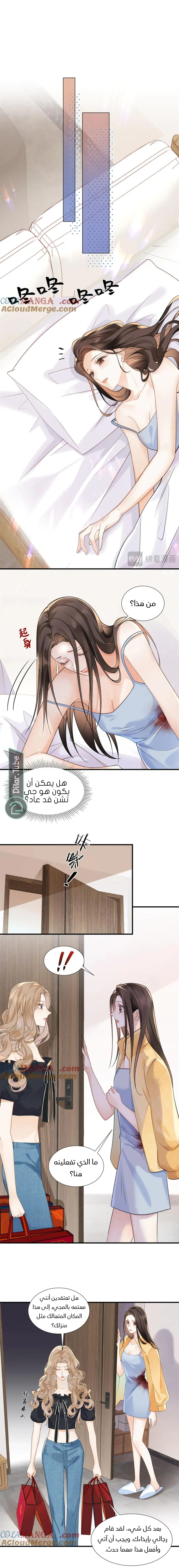 الصفحة 8
