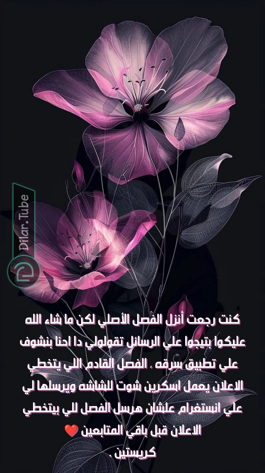الصفحة 15