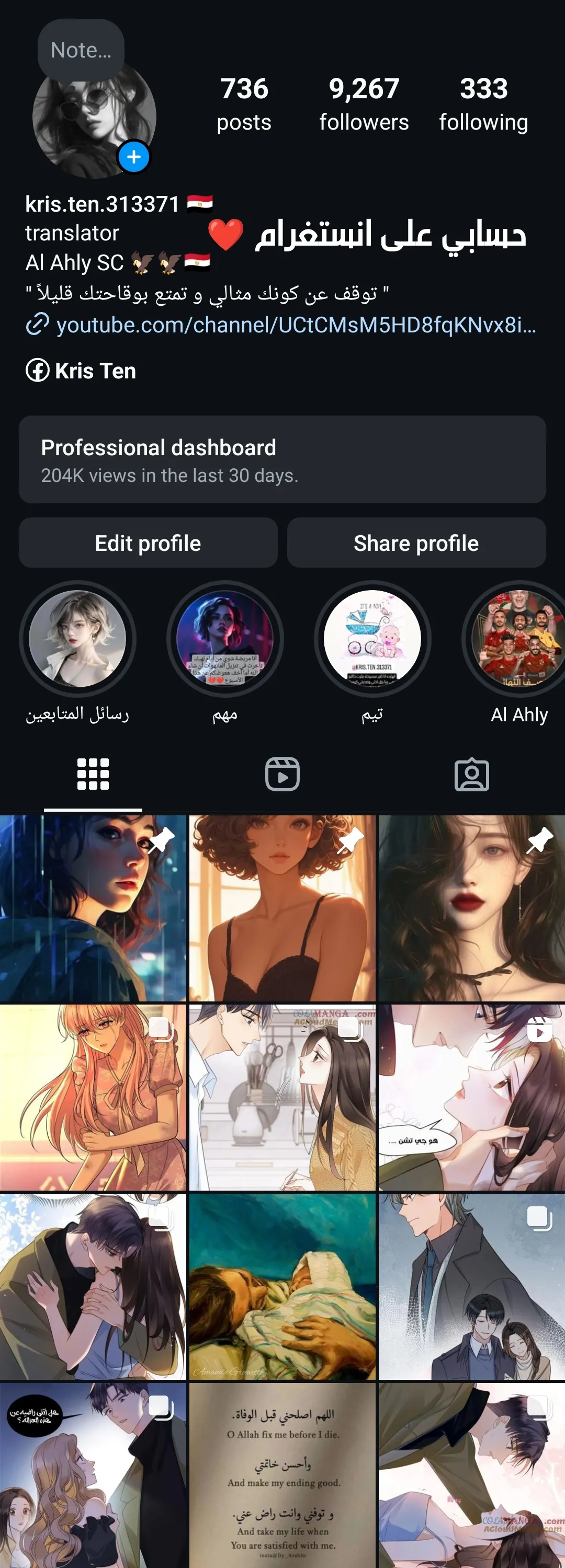الصفحة 13