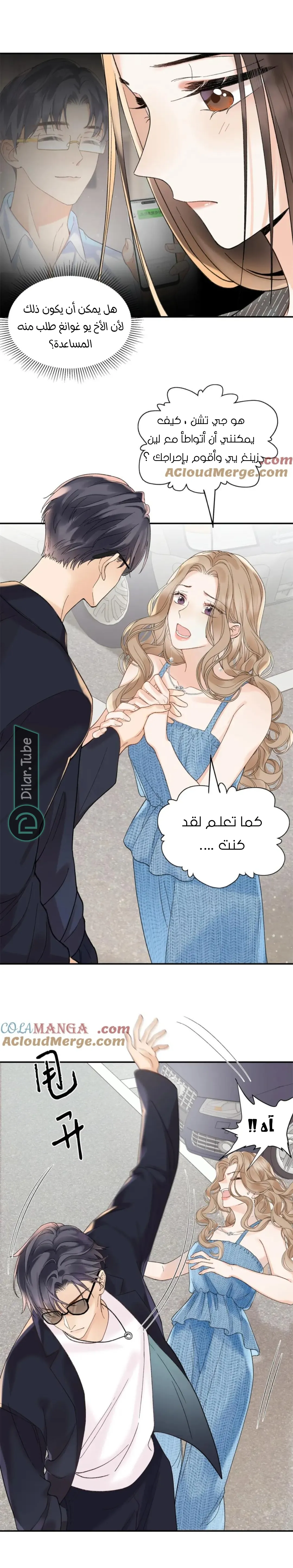 الصفحة 3