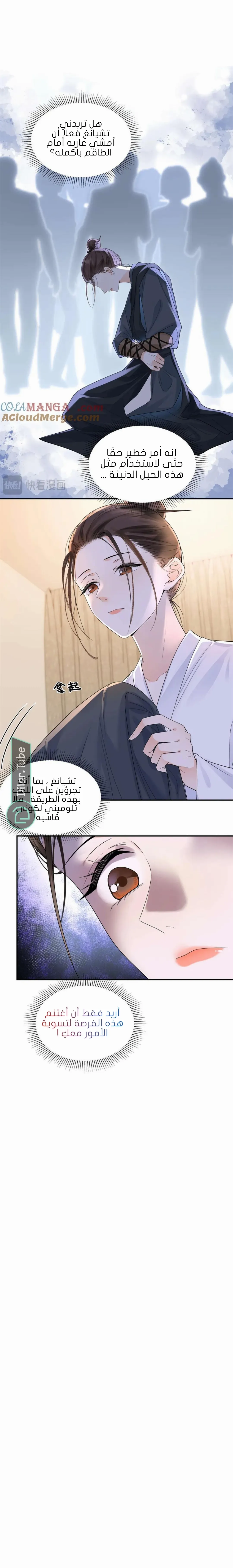 الصفحة 13
