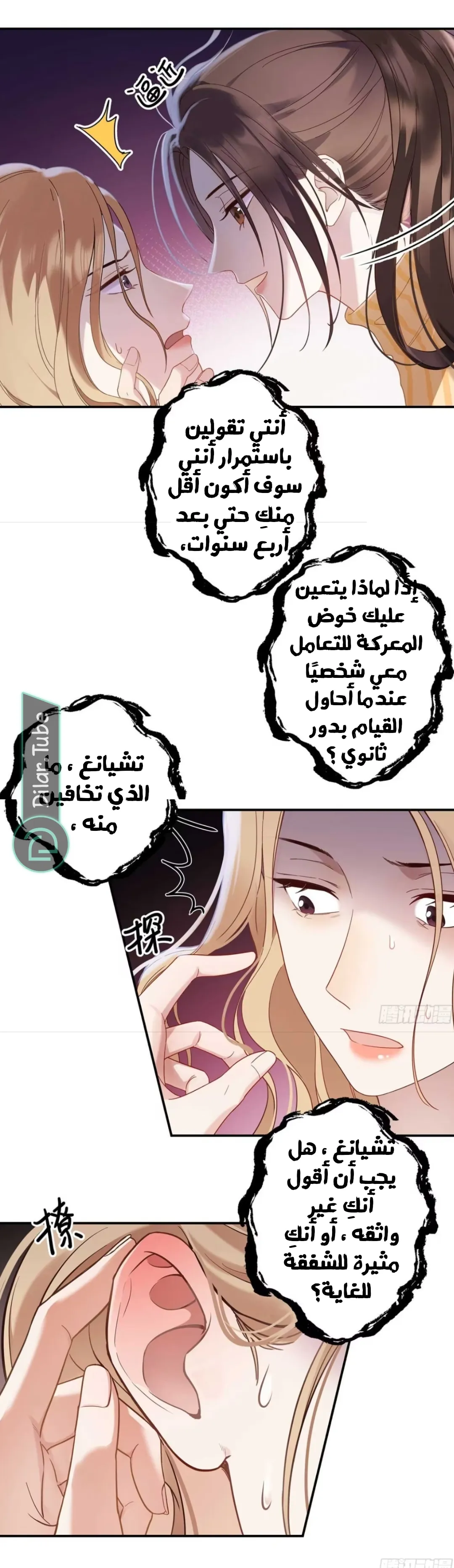 الصفحة 12