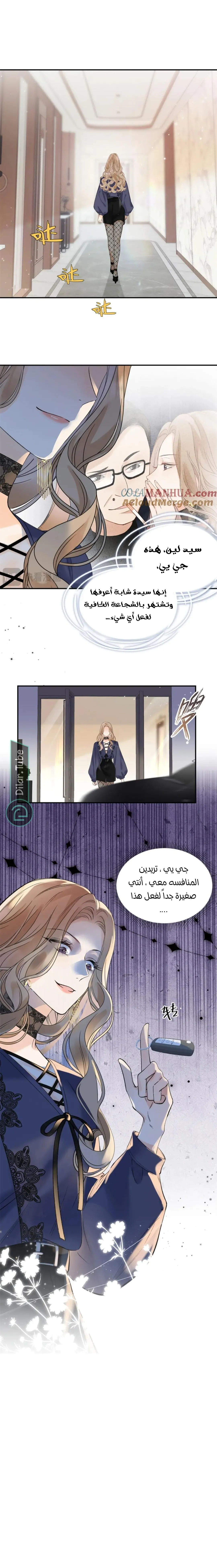 الصفحة 13