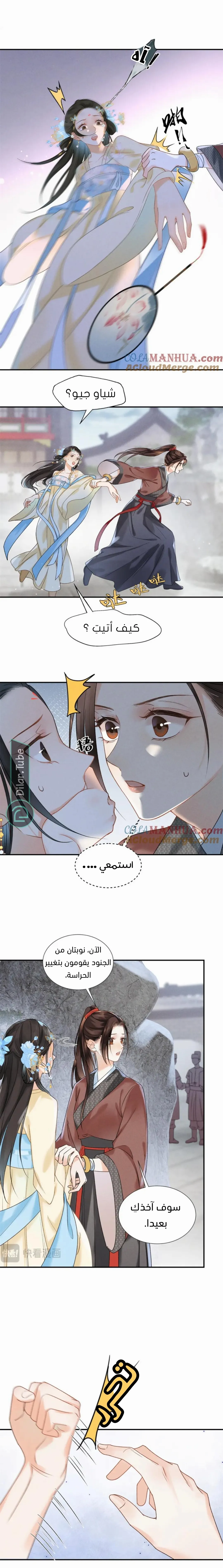 الصفحة 7