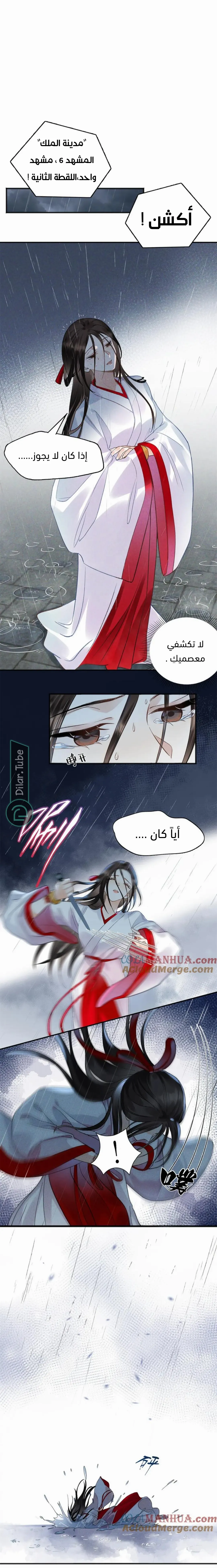 الصفحة 13