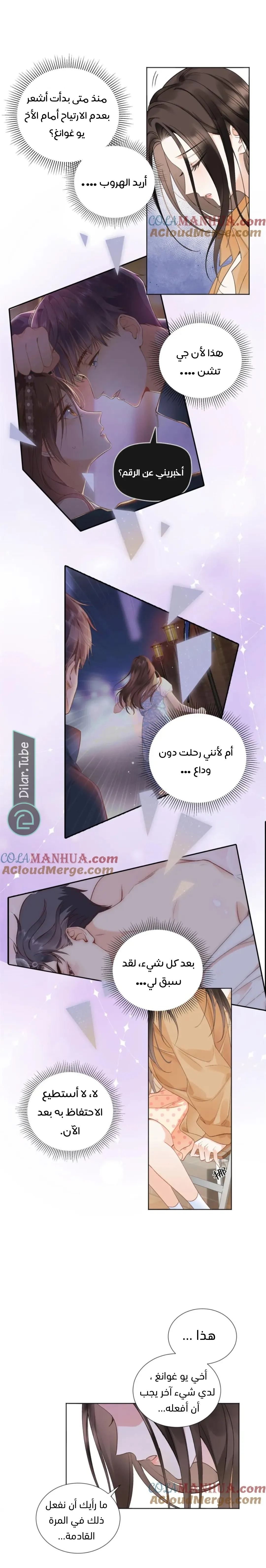 الصفحة 13