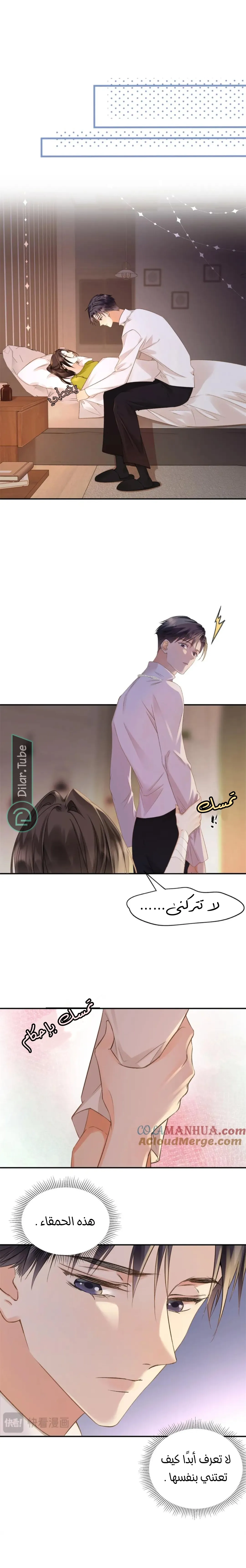 الصفحة 8