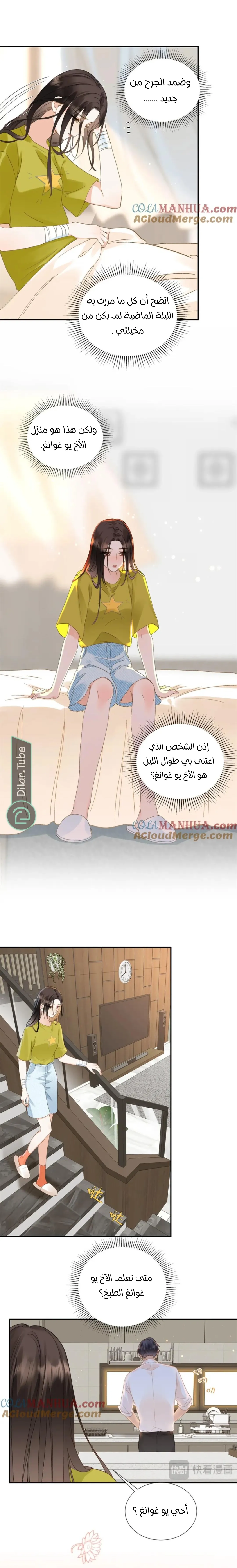 الصفحة 11