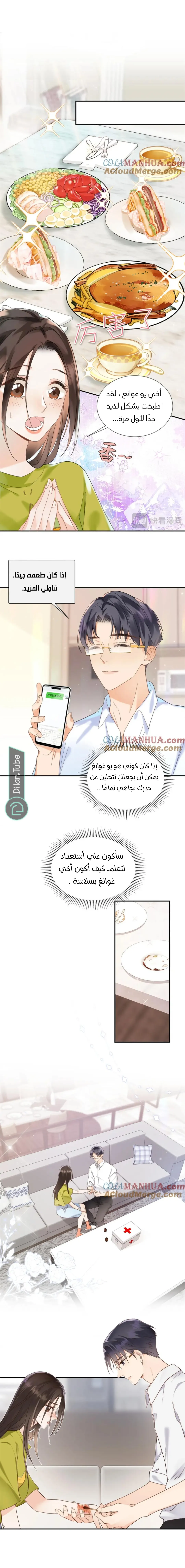 الصفحة 13